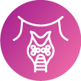 Enfermedades Endocrinas